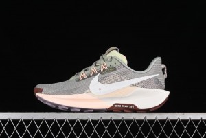 Nike Pegasus Trail 5 Off-Road Series Lightweight Comfortable Durable Low-Top Running Shoes - DV3865-300